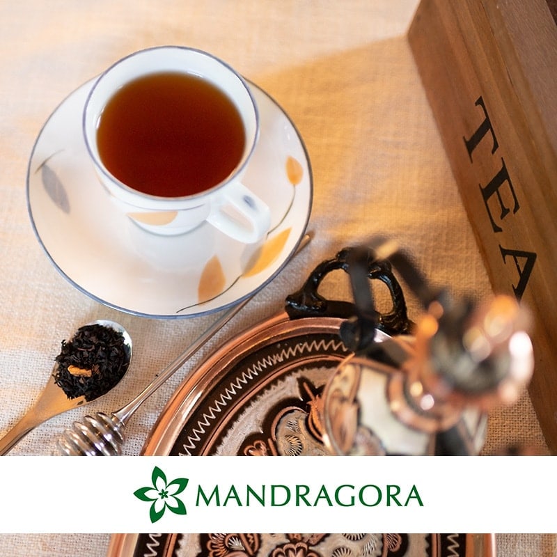 Mandragora yhteystiedot Mandragora yhteystiedot